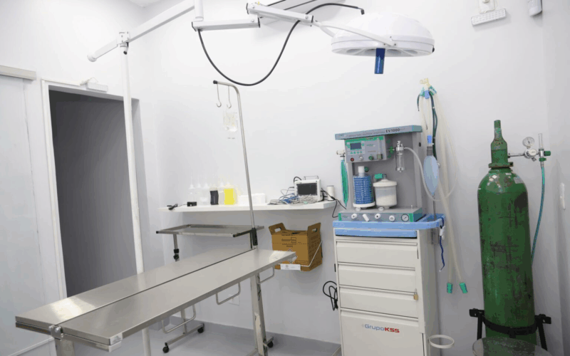 castração gratuita