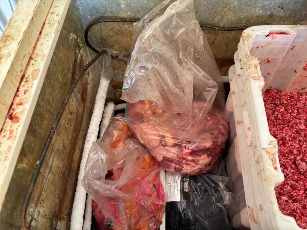 Carne é armazenada em ambiente sujo e sem higiene, com risco de contaminação e violação das normas sanitárias.