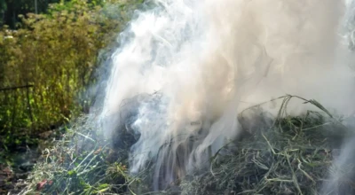 A imagem mostra galhos e folhas secas em chamas, gerando intensa fumaça branca em área aberta.