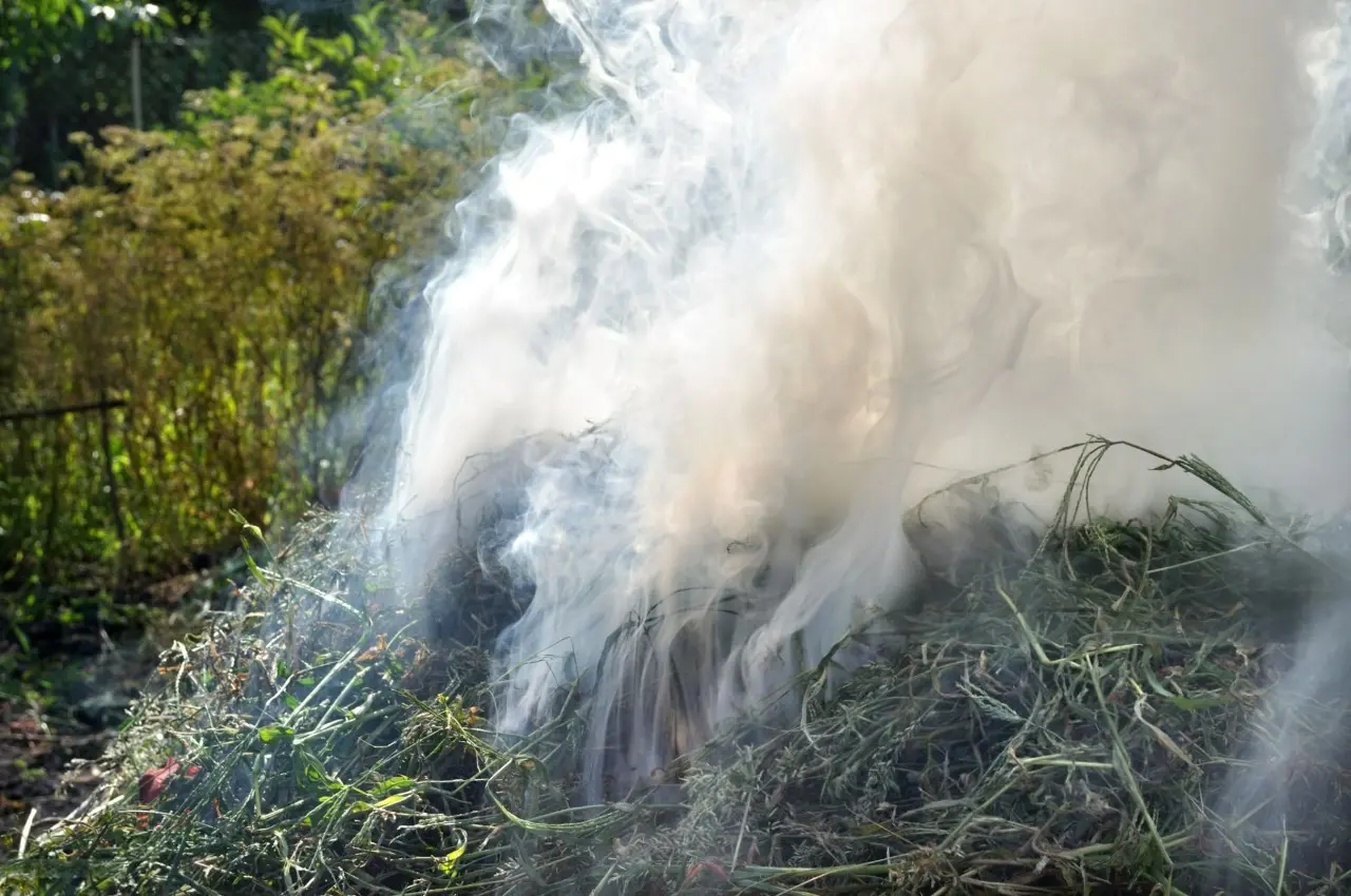 A imagem mostra galhos e folhas secas em chamas, gerando intensa fumaça branca em área aberta.