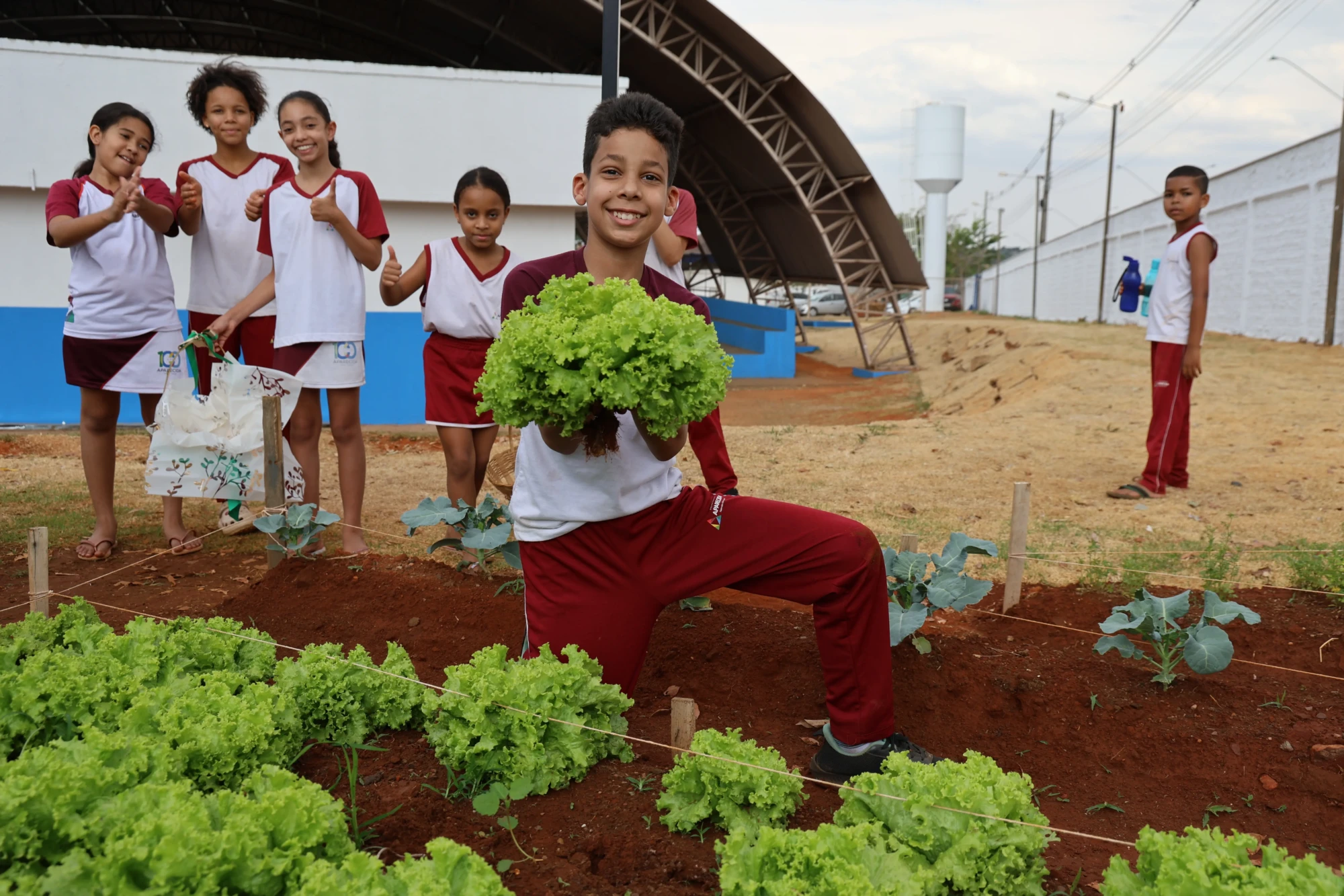 Foto dos alunos da rede pública em horta do projeto Agricultura Urbana