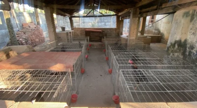 Foto do galpão onde acontecia o crime contra os animais.