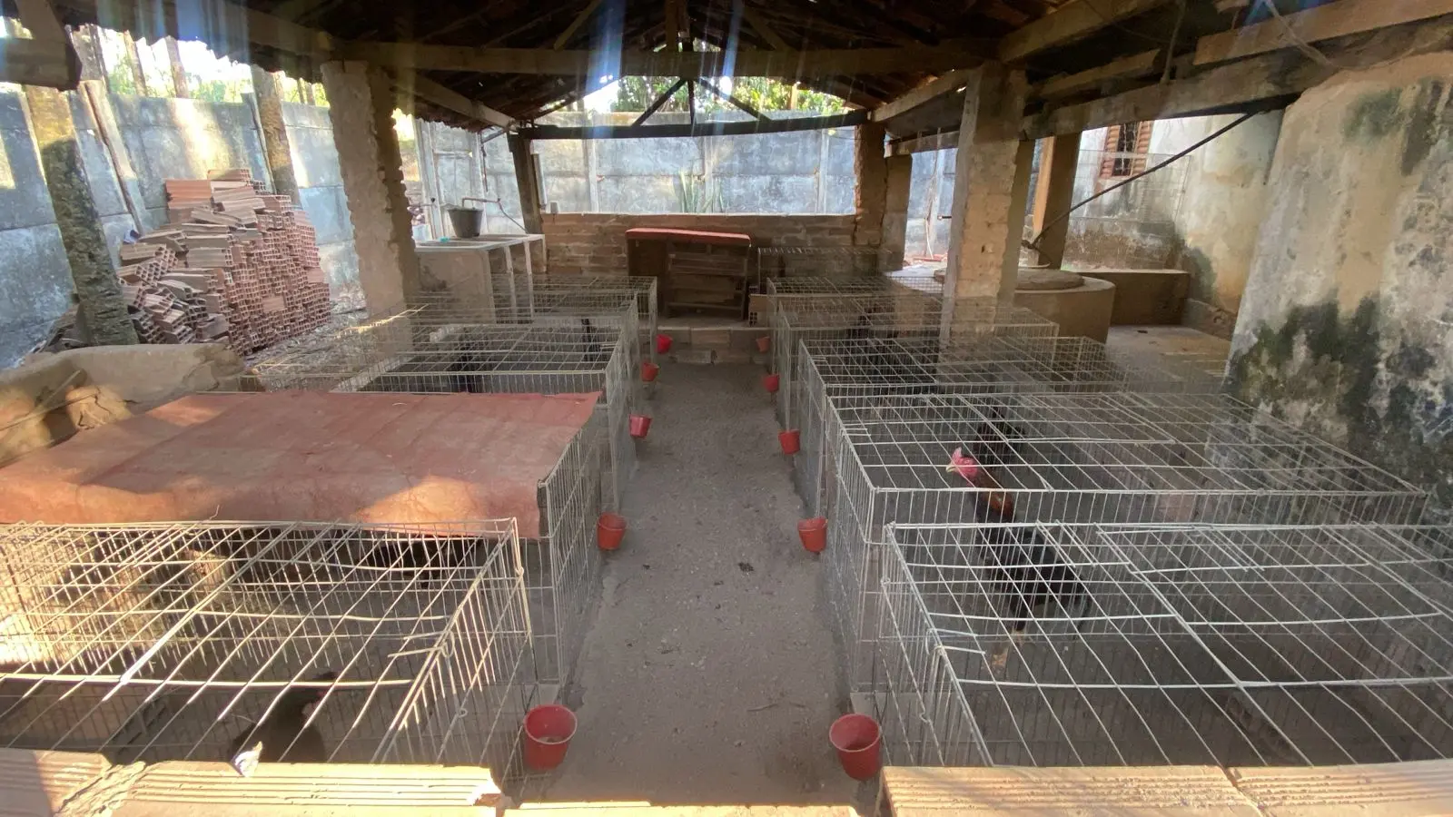 Foto do galpão onde acontecia o crime contra os animais.