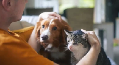 Foto de 2 pets com o seu dono.