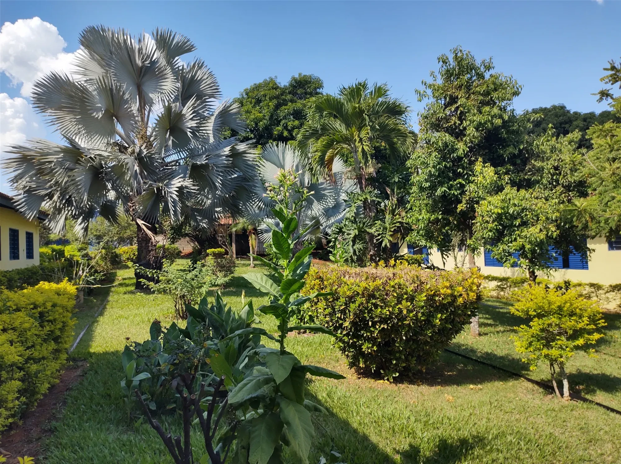 Casas de Apoio Sao Luiz 3