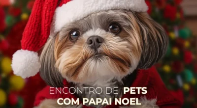 Encontro de Natal Pet