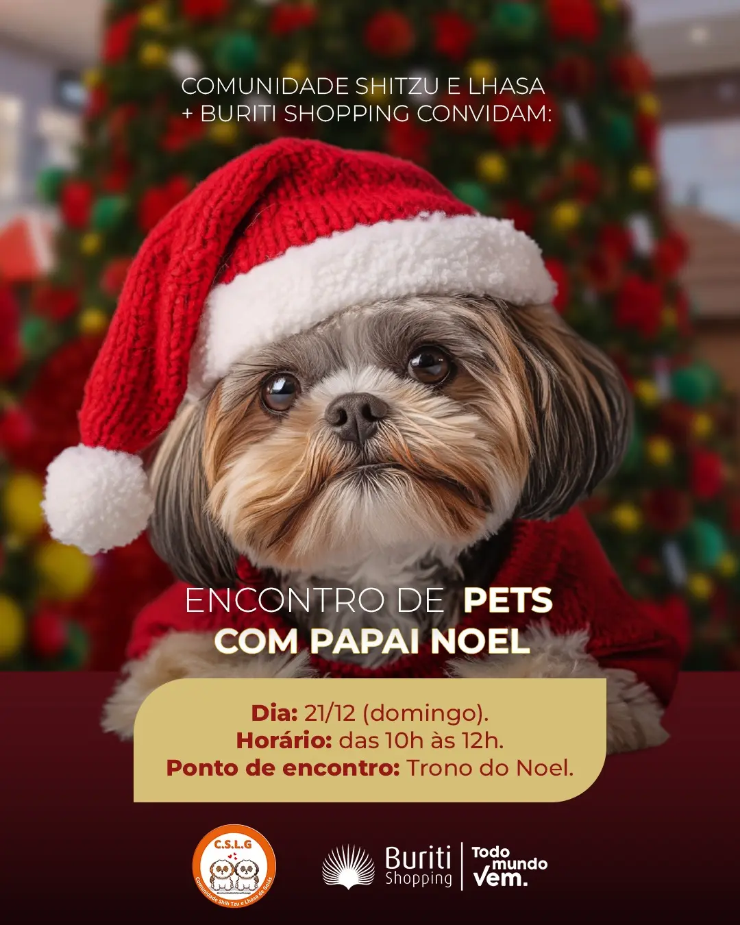 Encontro de Natal Pet