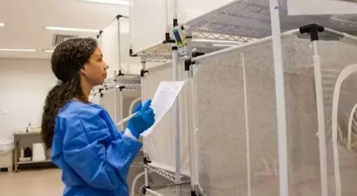 Foto de uma profissional avaliando projeto.