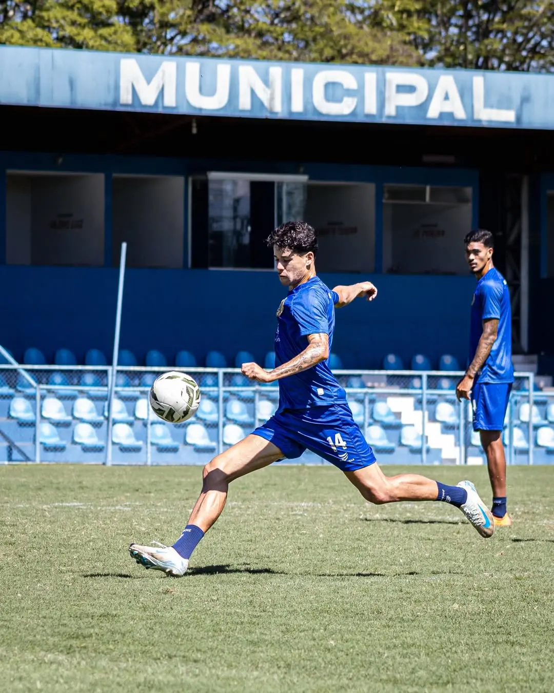 Preparação do Camaleão