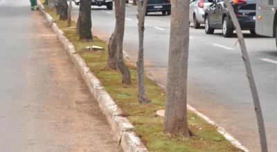 Grama será implantada em vias de alto movimento em Aparecida.