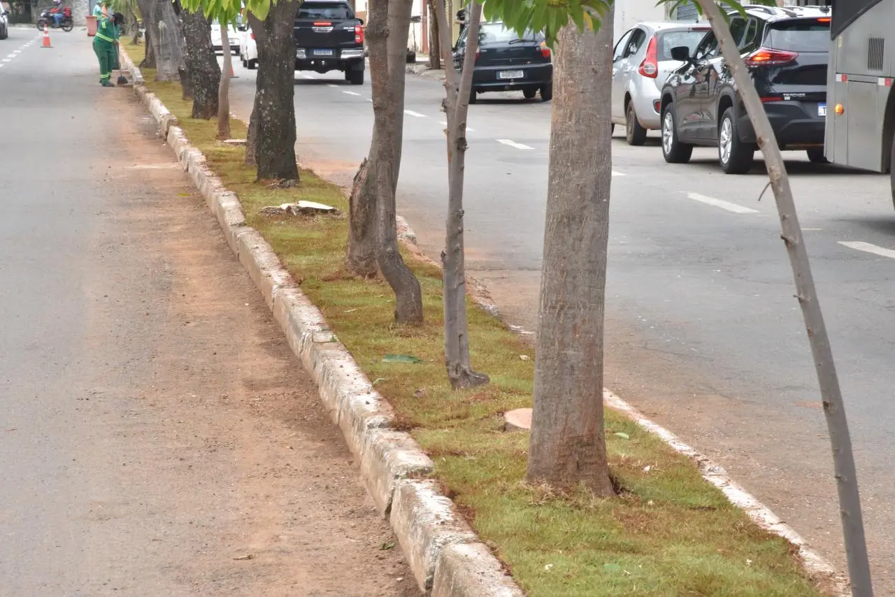 Grama será implantada em vias de alto movimento em Aparecida.