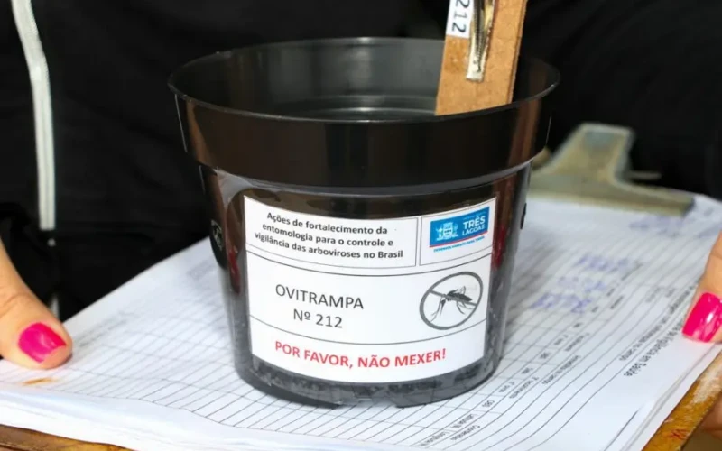 Foto da ovitrampas.