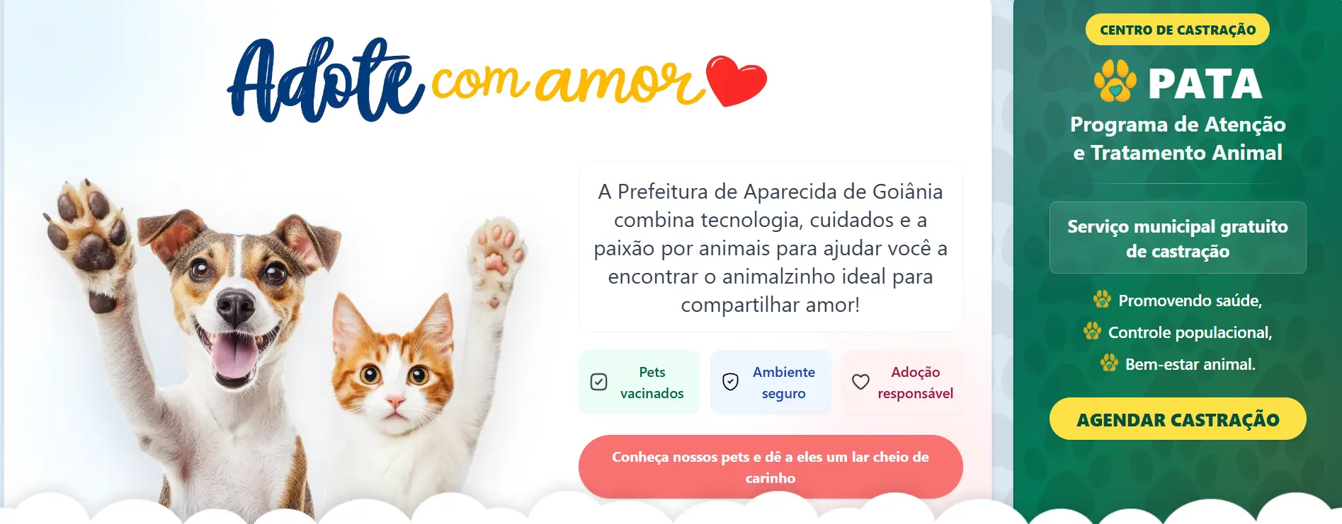 Print da página inicial do PATA.