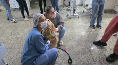 Profissionais da saúde recebem visitas no hospital.